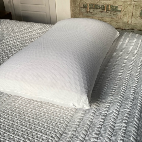 Purple Other - Purple Harmony Pillow Standard Sized in Tall